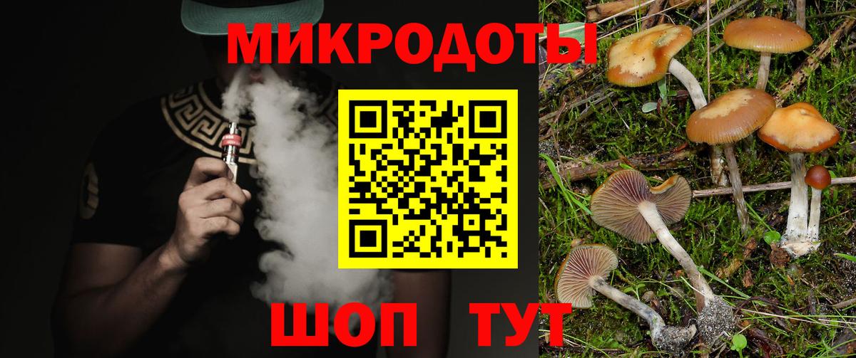 Светлоград  Галлюциногенные грибы Psilocybine cubensis  Галлюциногенные грибы мицелий  Вход с VPN 